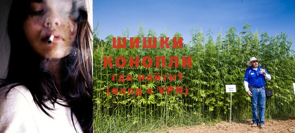 MESCALINE Богданович