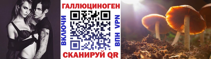 Псилоцибиновые грибы Psilocybe  omg ТОР  Армавир 